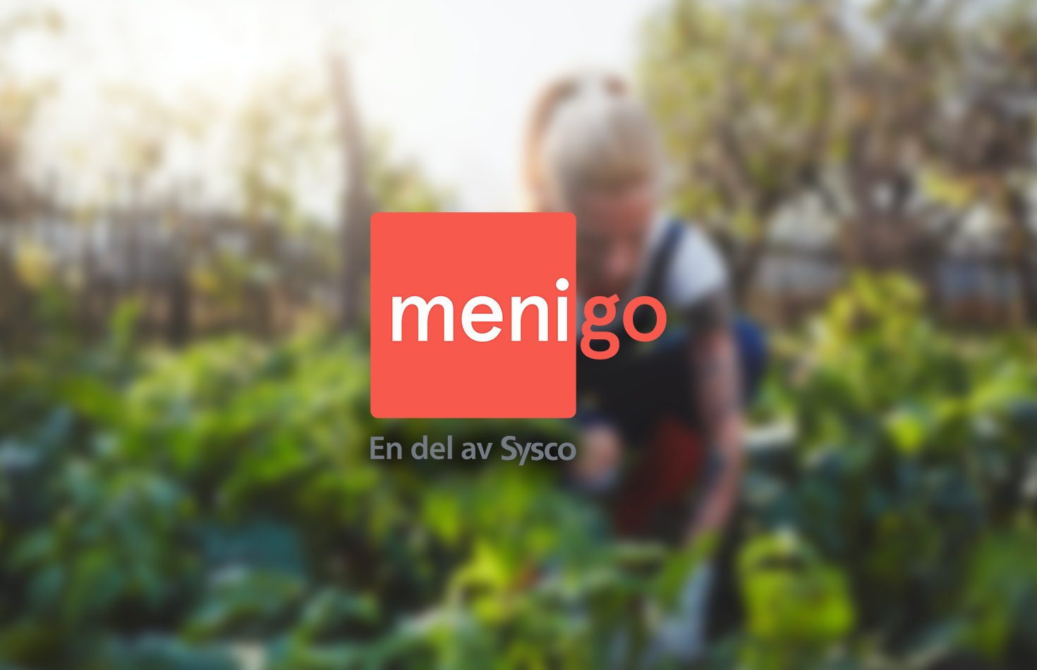 img_menigo